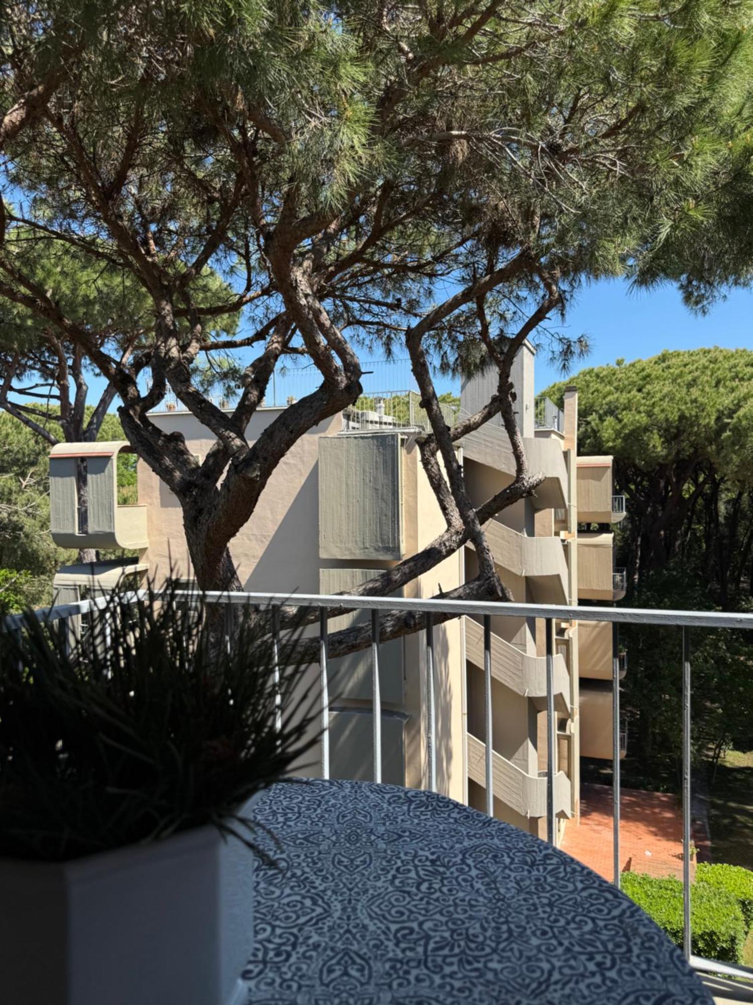 La Terrazza Del Pino Lejlighed Torre del Lago Puccini Eksteriør billede